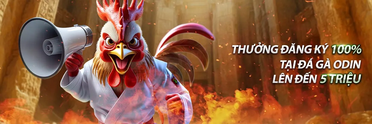 Hình ảnh banner chính trang blog kt88